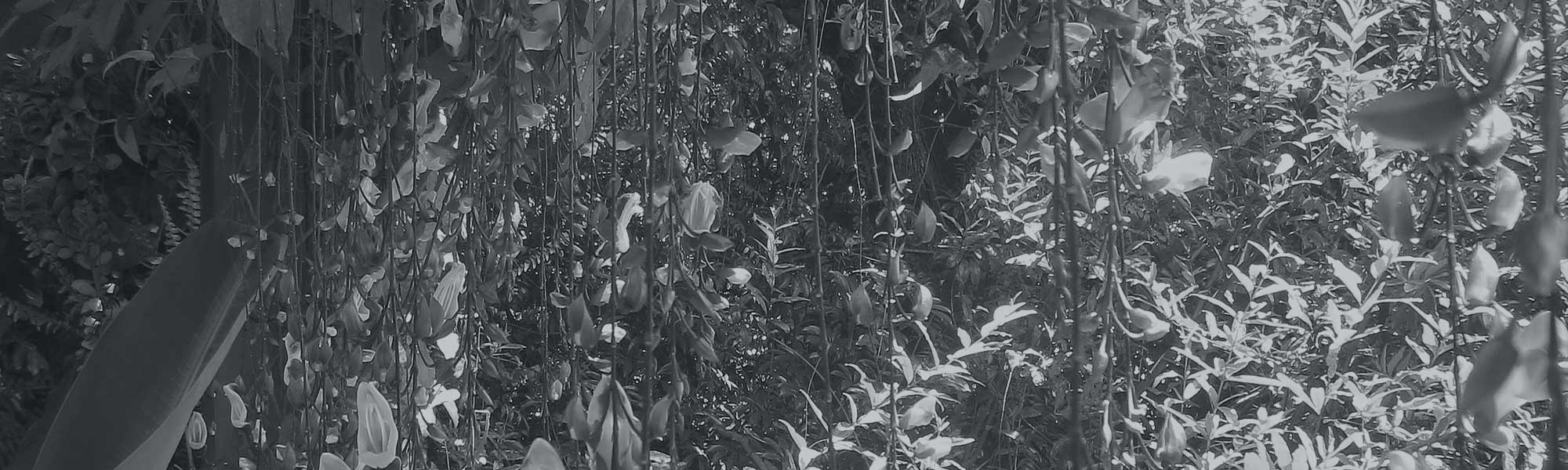 Open to Grow | Our Supporters